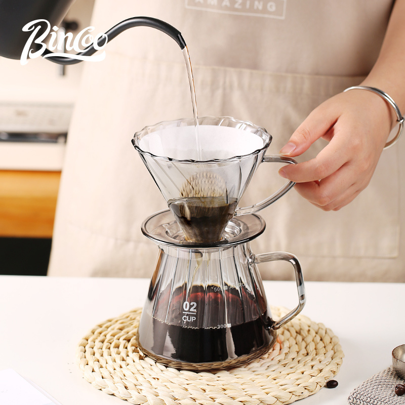 Bincoo 400ml/ 600ml Glass Pour Over Coffee Maker Pot Camping Coffee Pot for Hand-brew Coffee