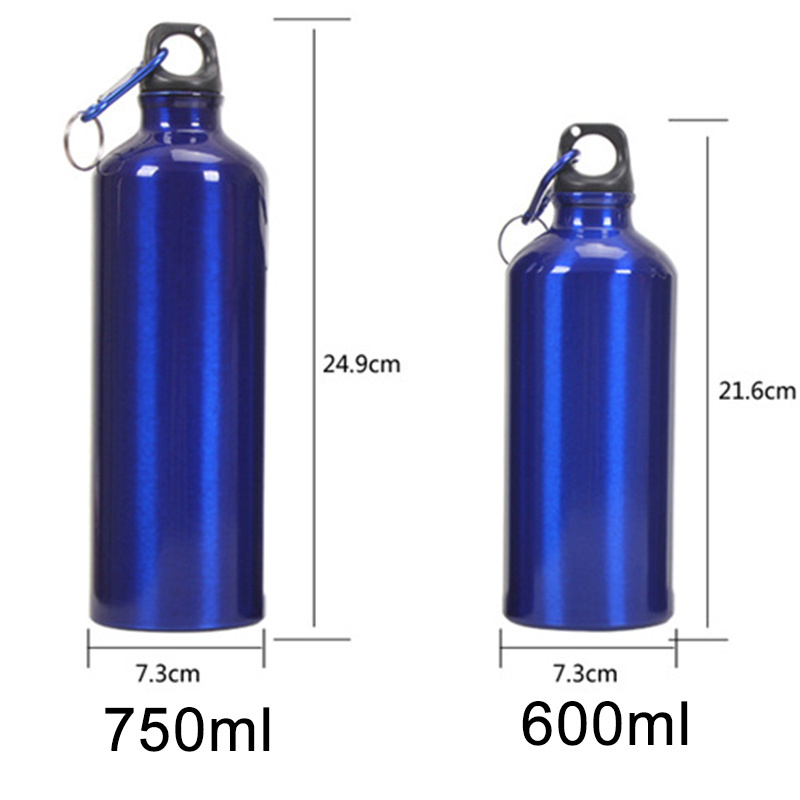 Wholesale Custom Logo 500Ml 600Ml 750Ml Colorful Reusable Sports Gym Drink Metal Aluminum Water Bottle With Carabiner Cover