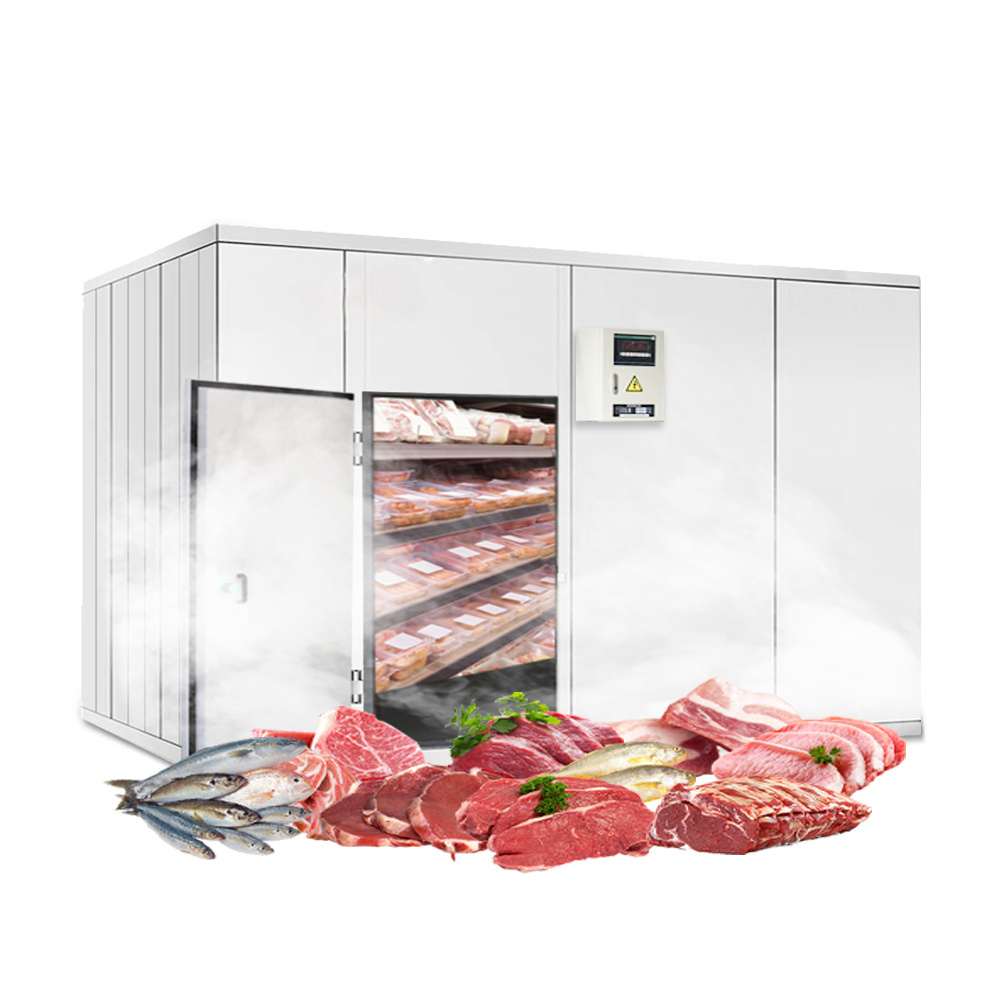 Bindos cold storage uses for kitchen and restaurant suitable for food refrigeration such as vegetables and fruits