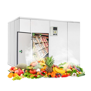 Bindos cold storage uses for kitchen and restaurant suitable for food refrigeration such as vegetables and fruits