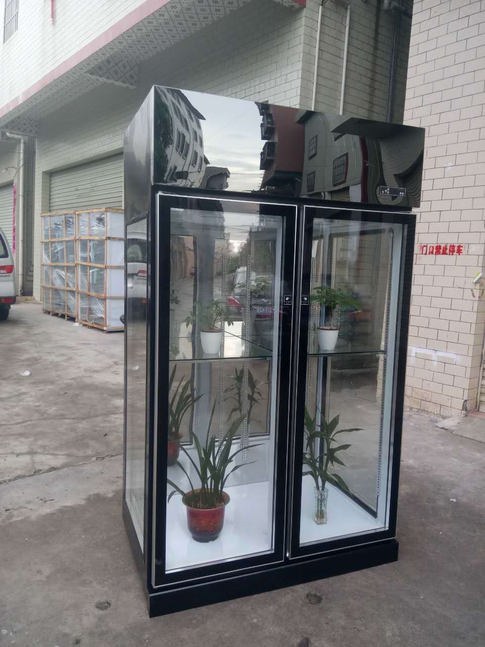 High quality  flower display stainless steel stainless steel refrigerator Fresh keeping