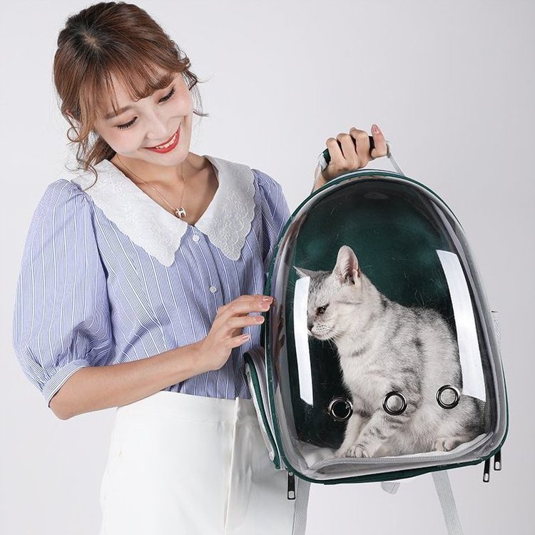 Manufacturer Wholesale Price Portable Outdoor Travel Products Luxury Dogs Cats Pets Carriers