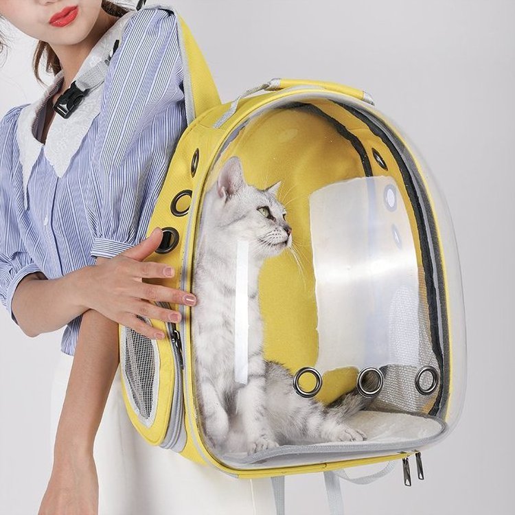 Big Space Breathable Designer Cat Dog Travel Carrier Bag Pet Bubble Backpack