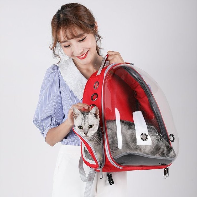 Manufacturer Wholesale Price Portable Outdoor Travel Products Luxury Dogs Cats Pets Carriers