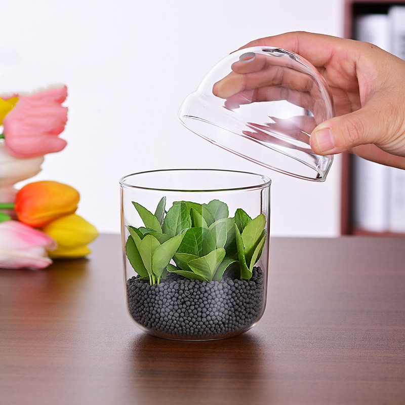 Mini Tabletop Glass Vase for Plant Pot & Decorative Planter for Flower Pot & Garden Ornament