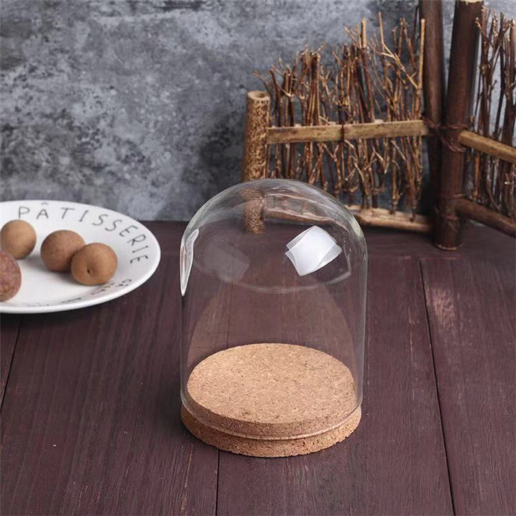 Custom mini terrarium glass dome with wooden cork base for hdisplay decoration