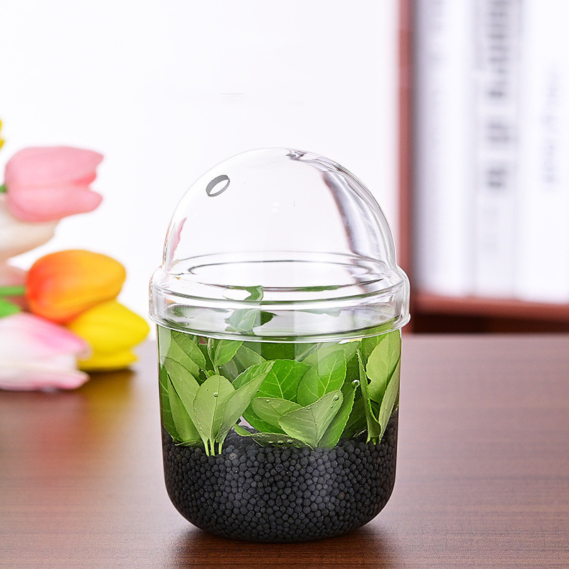 Mini Tabletop Glass Vase for Plant Pot & Decorative Planter for Flower Pot & Garden Ornament