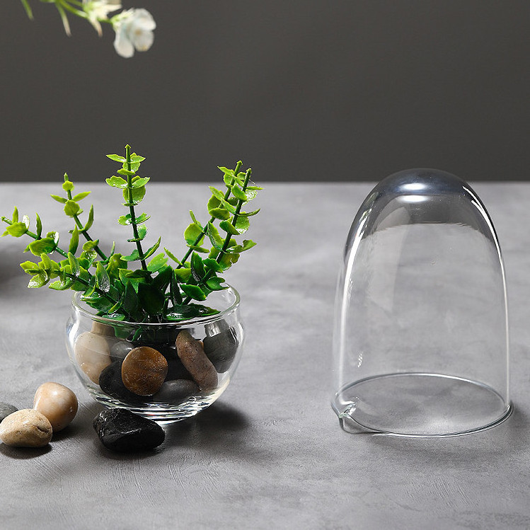 Factory Direct Clear Geometric Glass Dome Tabletop Vase Succulent Planter Wedding Home Decor Elegant Tabletop Flower vase