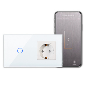 Bingoelec Google Alexa Voice control 1 Gang Smart  Wifi Touch Light Switch and socket europe model Tuya App