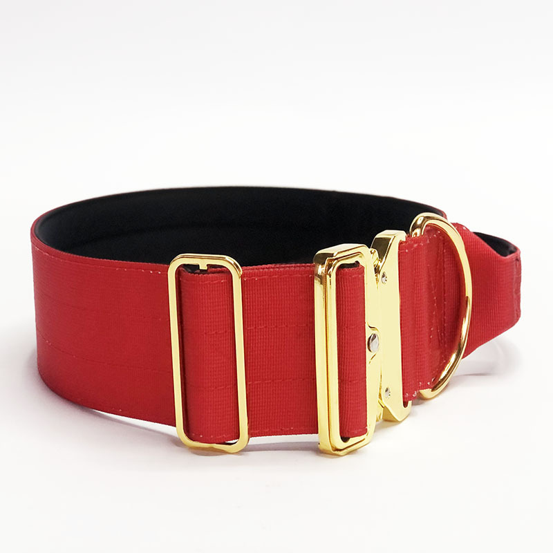 Nylon 3 inch adjustable Tactical Training Dog Collar Pet Collar With Gold Color Buckle