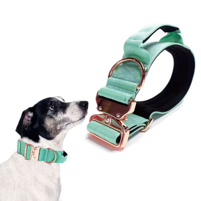 Custom Combat Adjustable Dog Collar Luxury Dog Collar With Rose Gold Metal Metal Buckle For Dogs