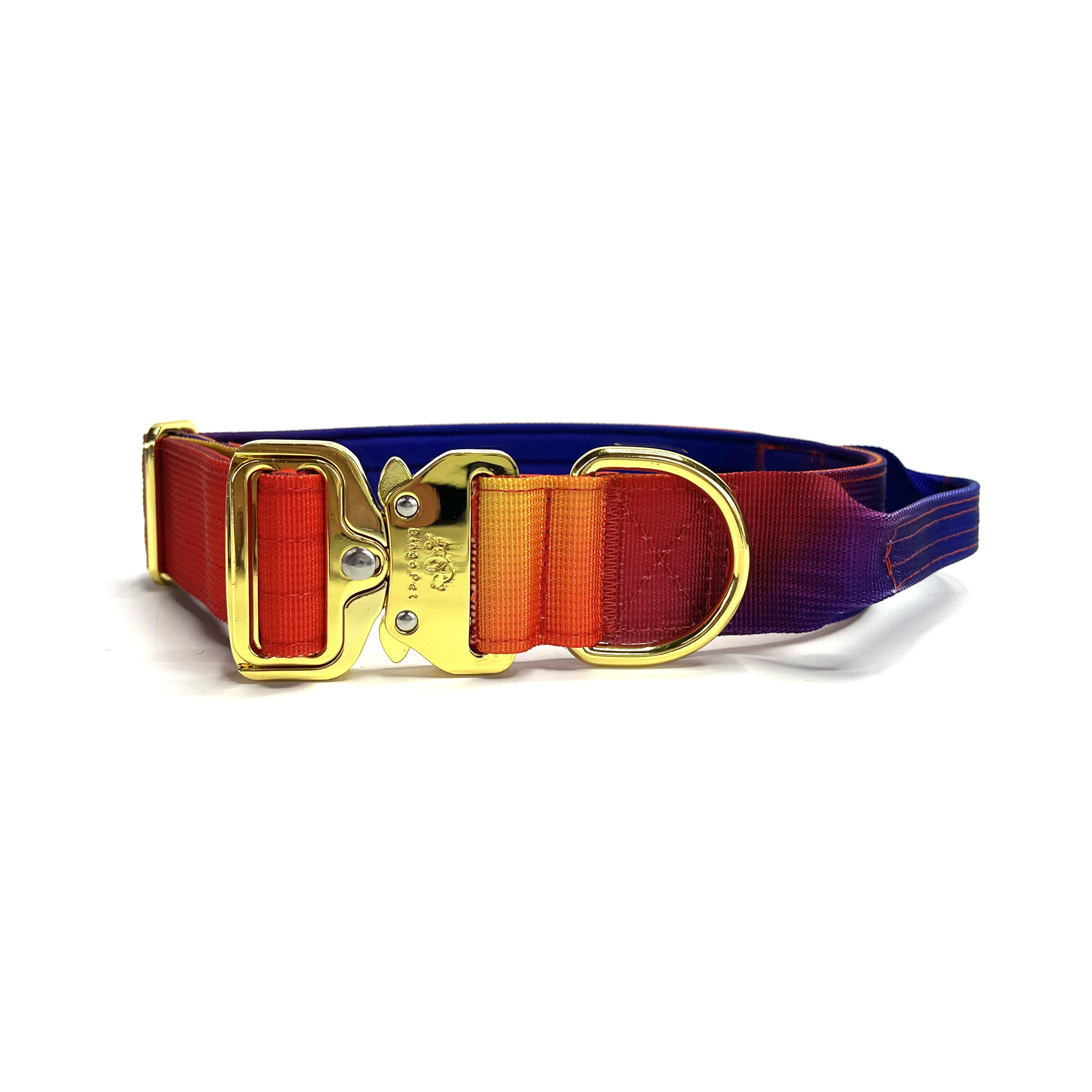 New Design Gradient Color Tactical Dog Collar With Gold Metal Pet Collar For Walking