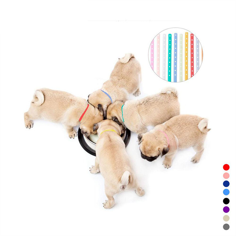 Soft Safe Waterproof Durable Silicone Glow Pet  Puppy ID Dog Collar