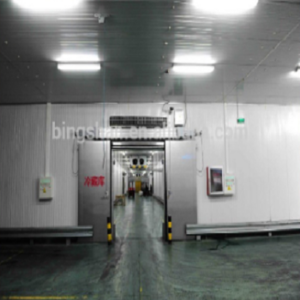 turnkey refrigeration solution cold storage room for fish and seafood