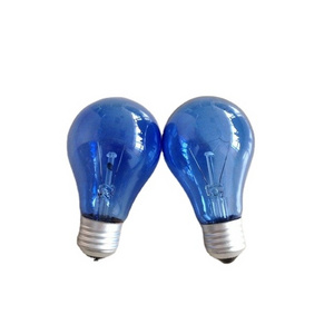 incandescent A19 60W E27  Classic natural blue bulb