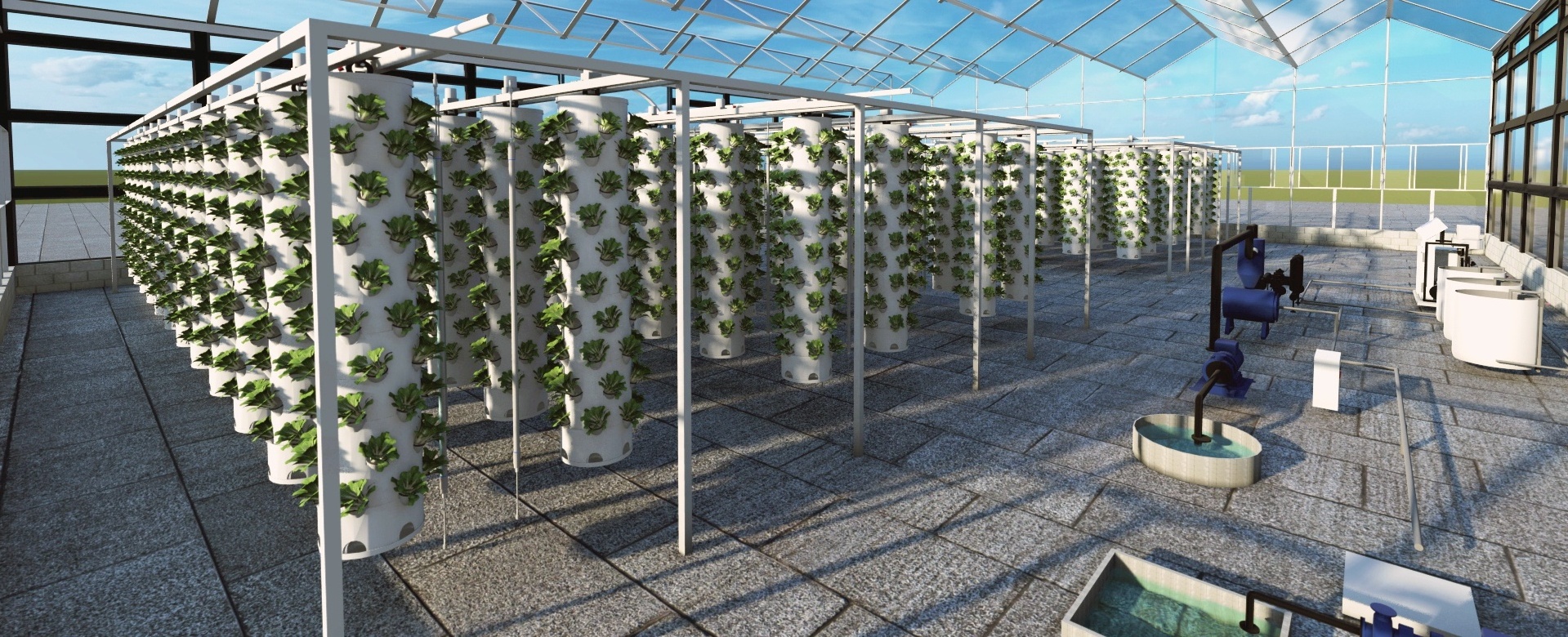 flowers vine vegetables growing Greenhouse Hydroponic Growing Systems Dutch Bucket Planting System