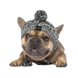 Dog Hat Christmas Warm Windproof Pet Hats Woolen Dog Accessories Small Medium Dogs Hat French Bulldog Outdoor