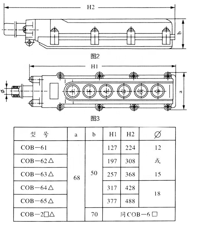 COB61H Rainproof Hoist Pushbutton Up-down Switch