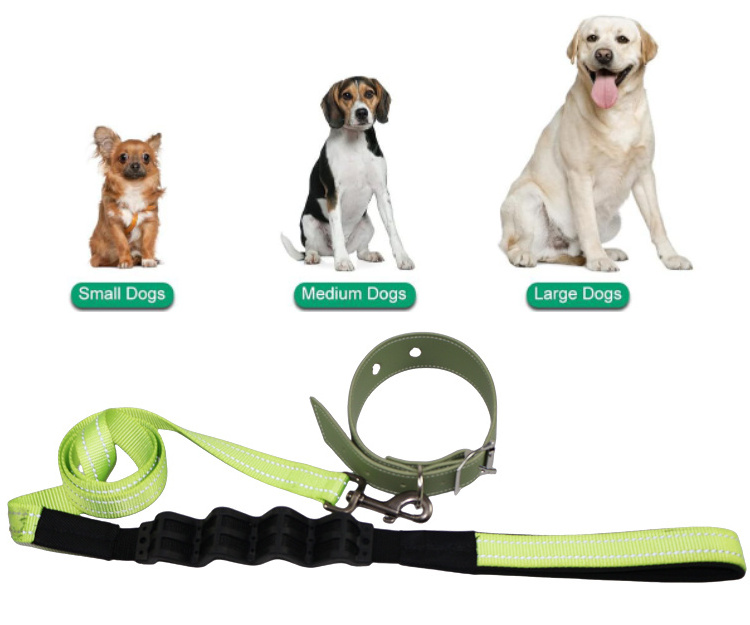 Reflective nylon high-strength tensile belt with buffering for large and medium-sized dog pet traction rope