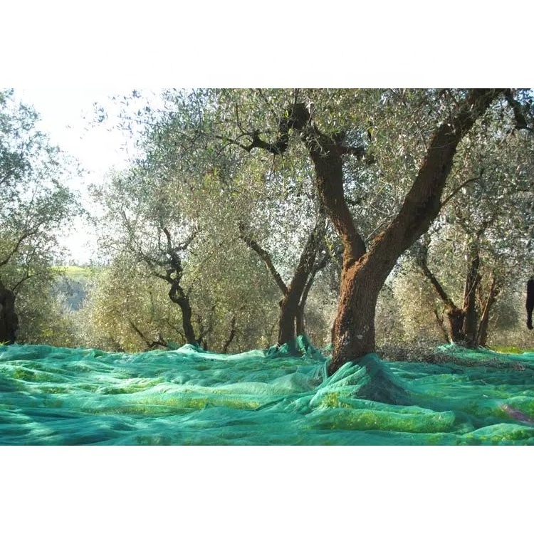 olive nets harvest netting 100% olive collection net for Greece market