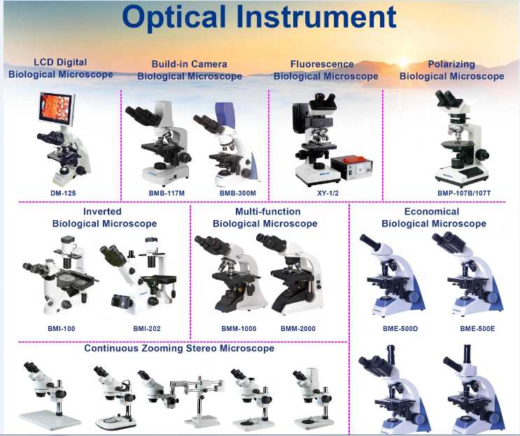 BIOBASE Microscope Fluorescence Biological Laboratory Medical Machine Price Microscope for laboratory research