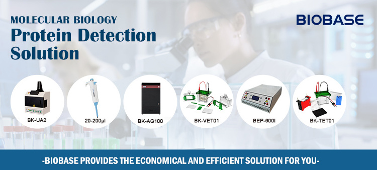 Kjeldahl Nitrogen Analyzer AKN-01 protein analyzer Crude protein analyzer Analizador de nitrogeno Kjeldahl