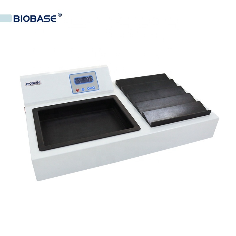 BIOBASE China Tissue Flotation Water Bath&Slide Dryer BTH-I In Stock  Pathology lab equipment for Lab/Hospital