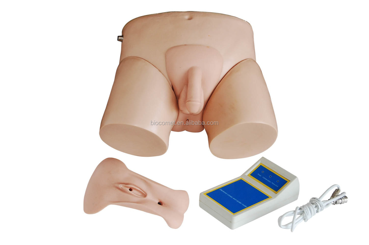 Advanced Female Urethral Catheterization Simulator  Urethral Catheterization Kit BC1115-08D