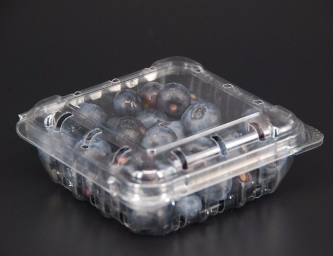 disposable blueberry plastic fruit clamshell packaging container clam shell PET punnet With Lid