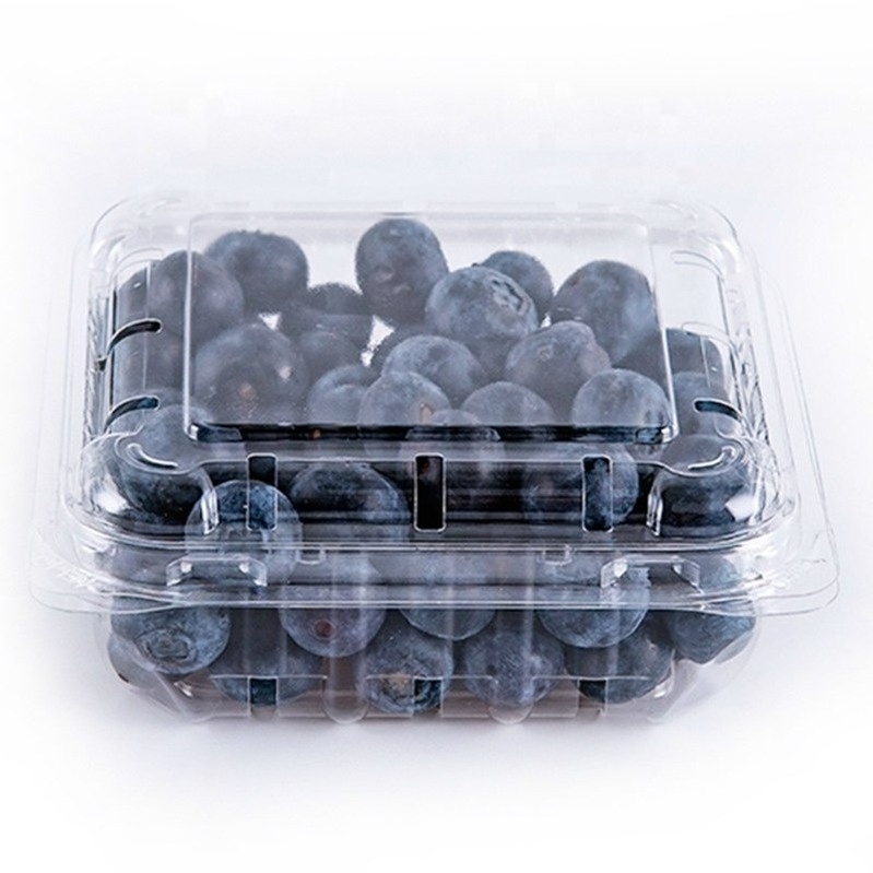 disposable blueberry plastic fruit clamshell packaging container clam shell PET punnet With Lid