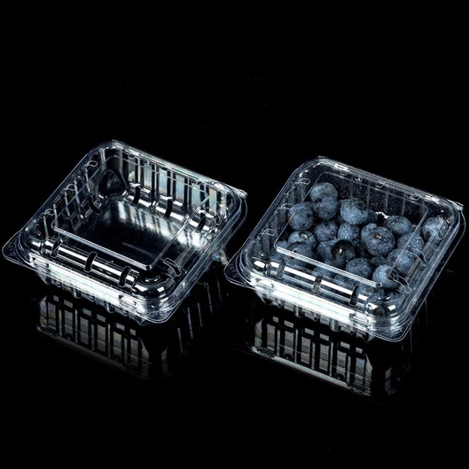 disposable blueberry plastic fruit clamshell packaging container clam shell PET punnet With Lid