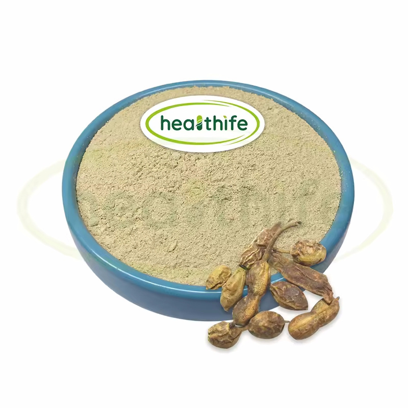 Healthife Sophora Japonica Extract 98% Luteolin Powder