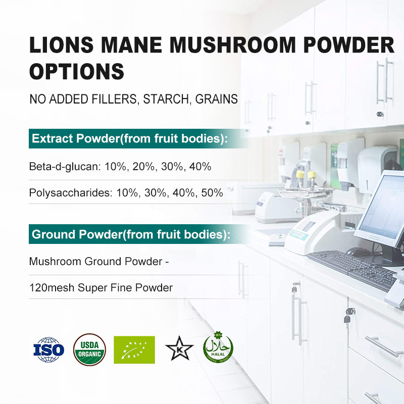 Organic Lions Mane Fruit Body Extract Powder 40% 20% 10% Beta Glucan