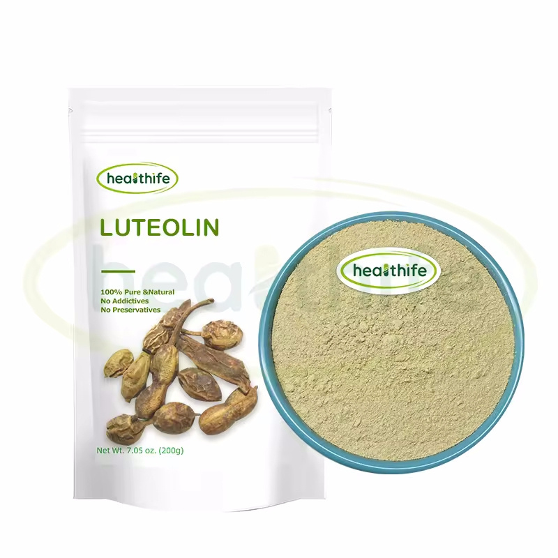 Healthife Sophora Japonica Extract 98% Luteolin Powder