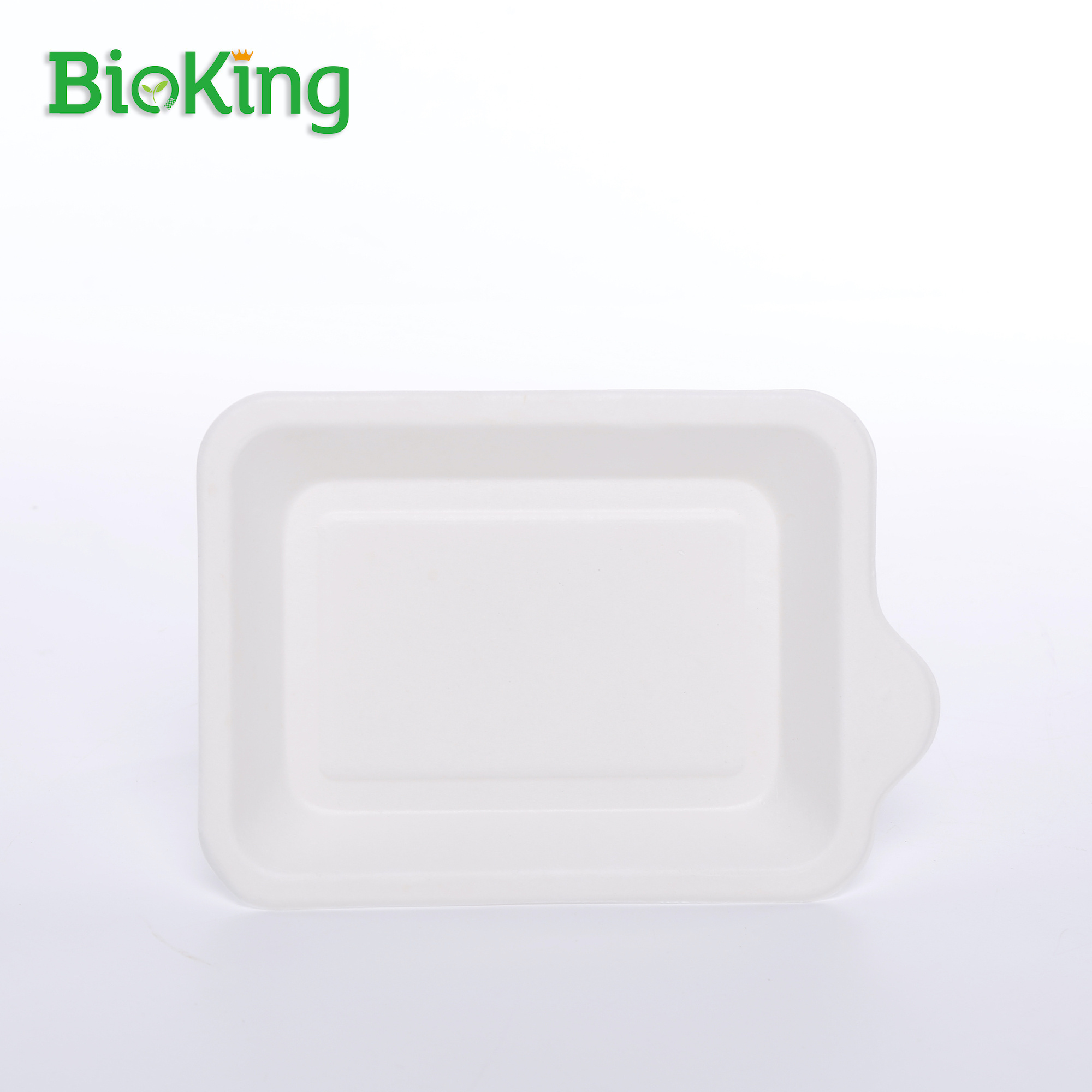 BioKing New arrivals with multiple specifications large capacity customisable bagasse paper plate