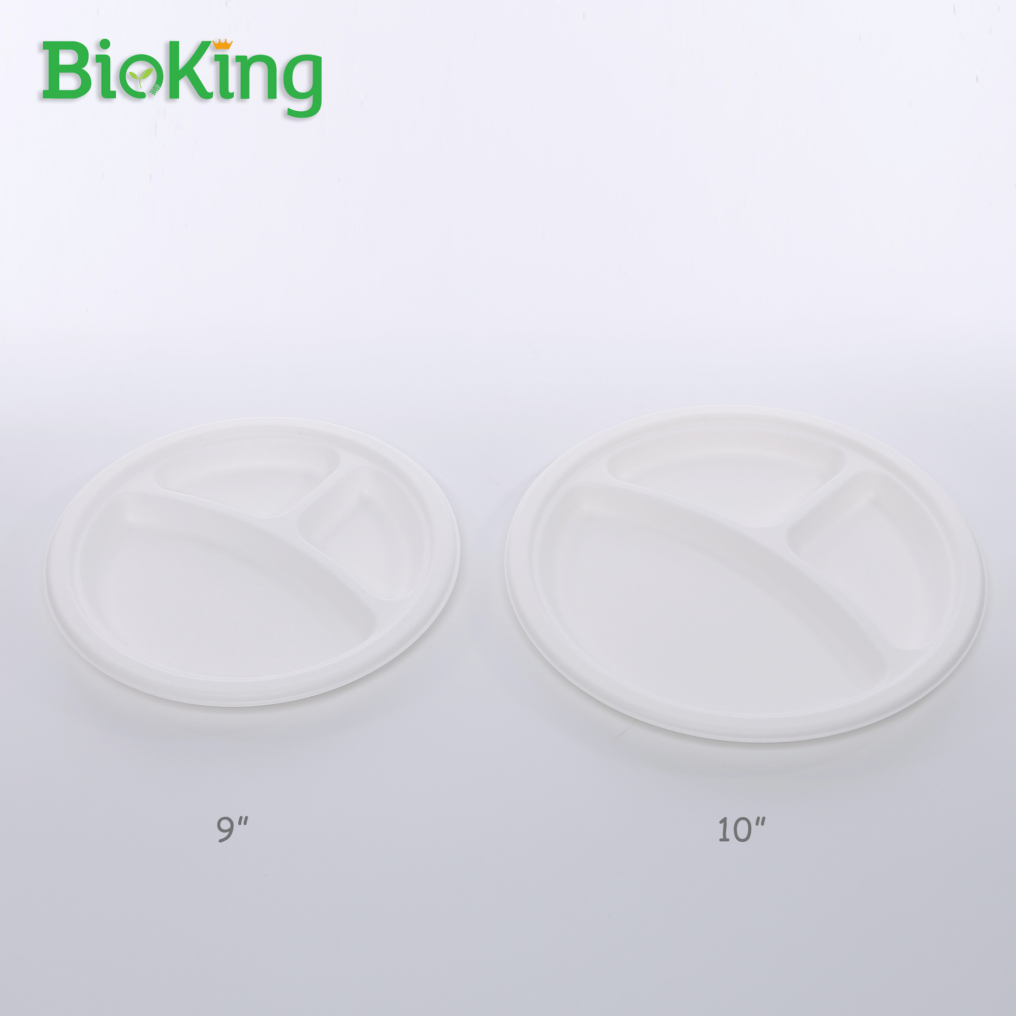 BioKing Factory wholesale Eco plates eco 6inch 7inch 8inch 9inch paper friendly disposable 9 inch bagasse plate