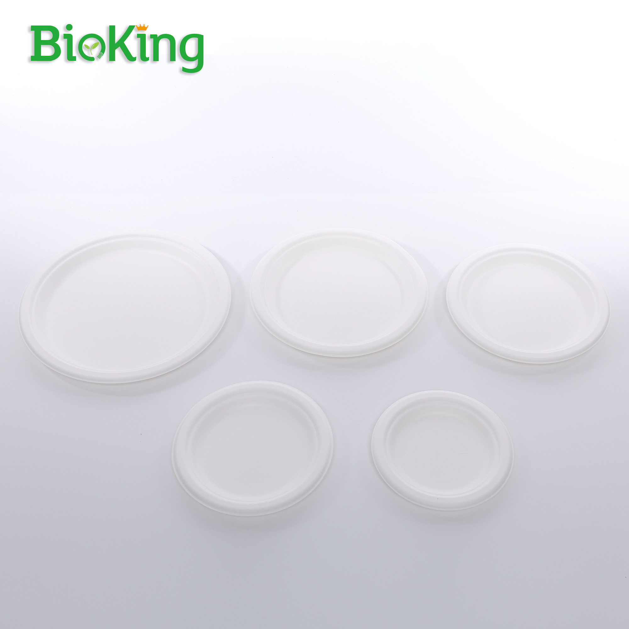 BioKing New arrivals with multiple specifications large capacity customisable bagasse paper plate