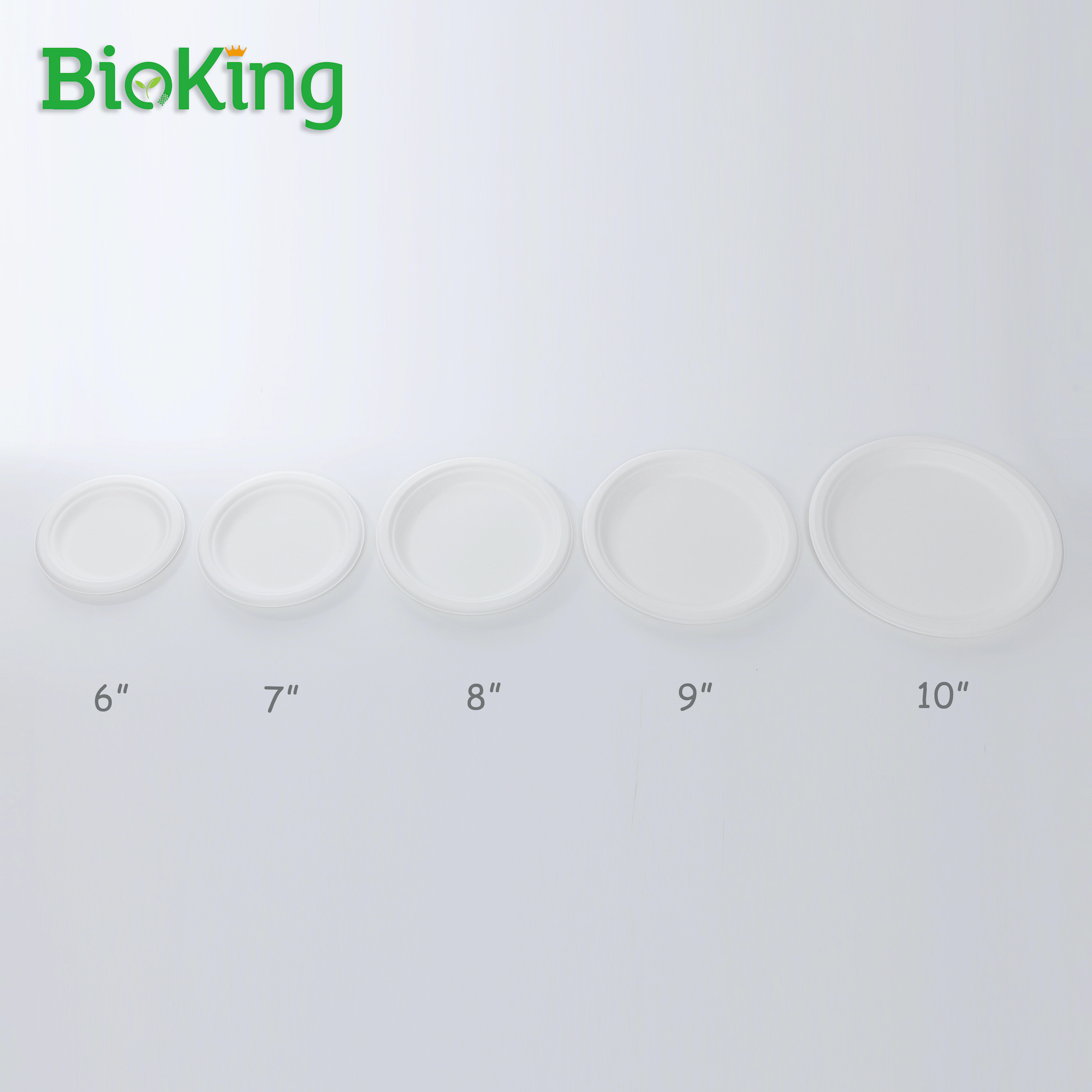 BioKing Factory wholesale Eco plates eco 6inch 7inch 8inch 9inch paper friendly disposable 9 inch bagasse plate