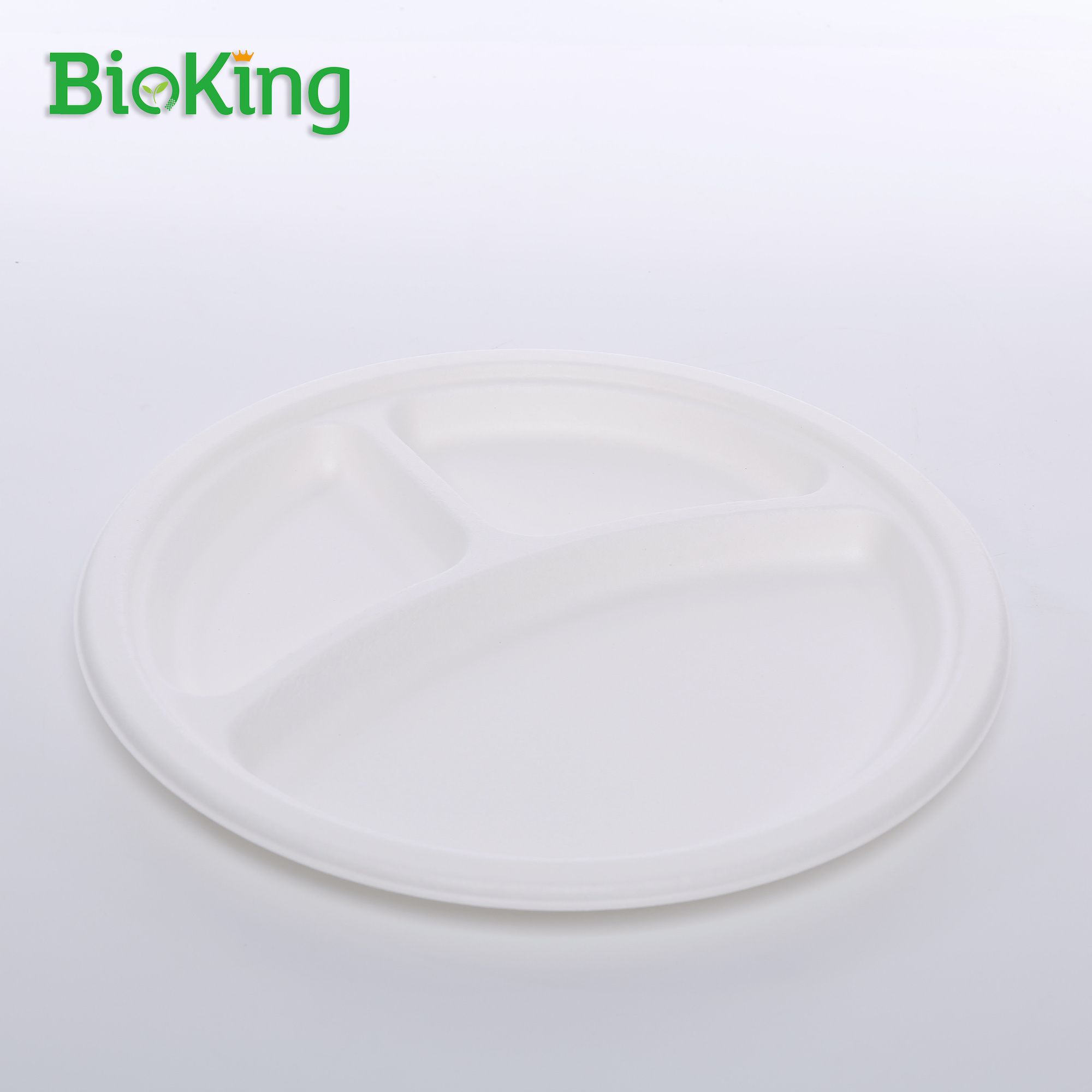 BioKing Factory wholesale Eco plates eco 6inch 7inch 8inch 9inch paper friendly disposable 9 inch bagasse plate