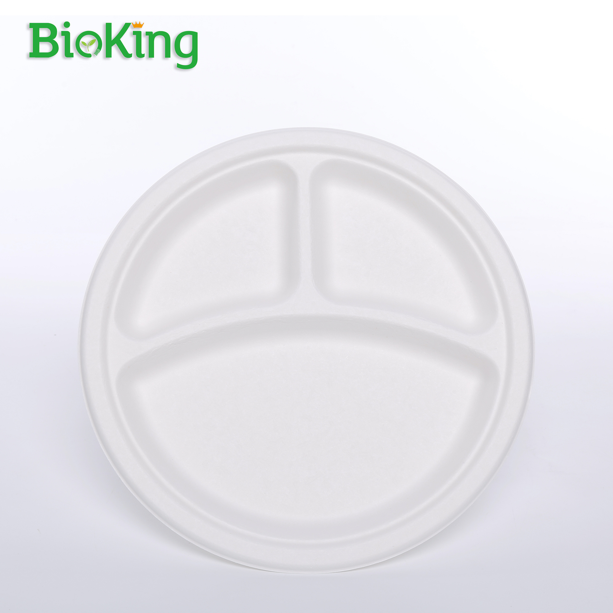 BioKing Factory wholesale Eco plates eco 6inch 7inch 8inch 9inch paper friendly disposable 9 inch bagasse plate