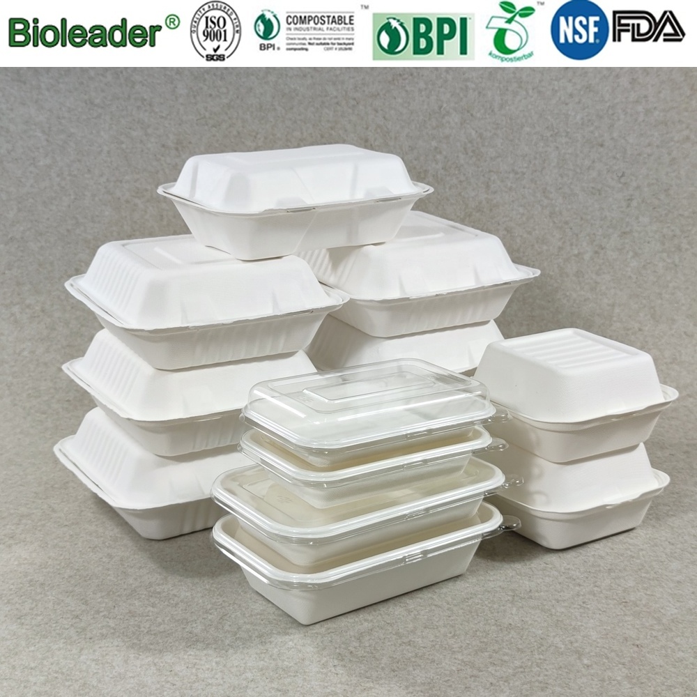 Biodegradable Sugarcane Takeaway Take Out Fast Food Packaging Box Food Containers Biodegradable Packaging