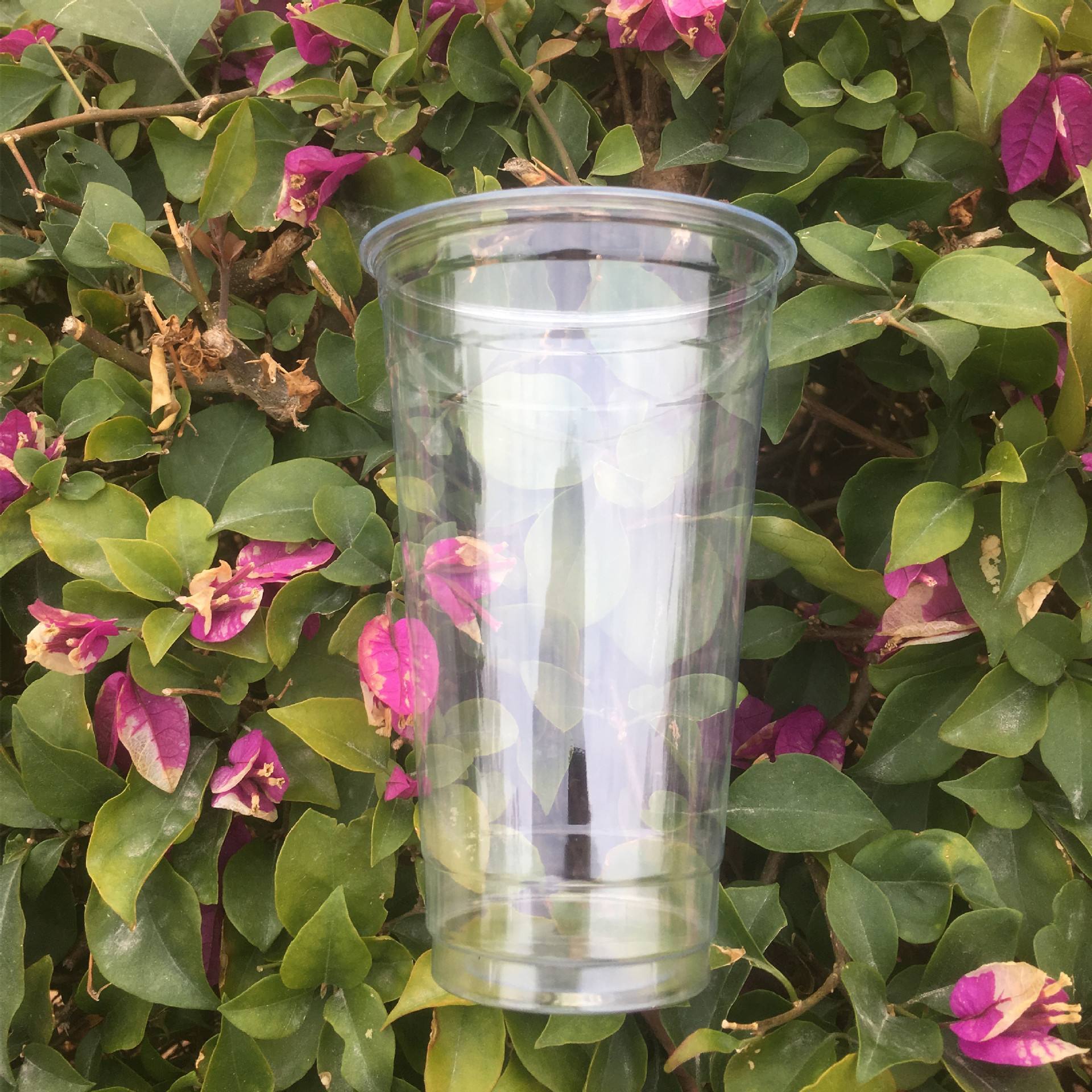 Disposable Compostable Biodegradable Clear PLA Plastic Cups Customized 10 12 14 16 20 24 oz Cold Drinking PLA Cup with Lids