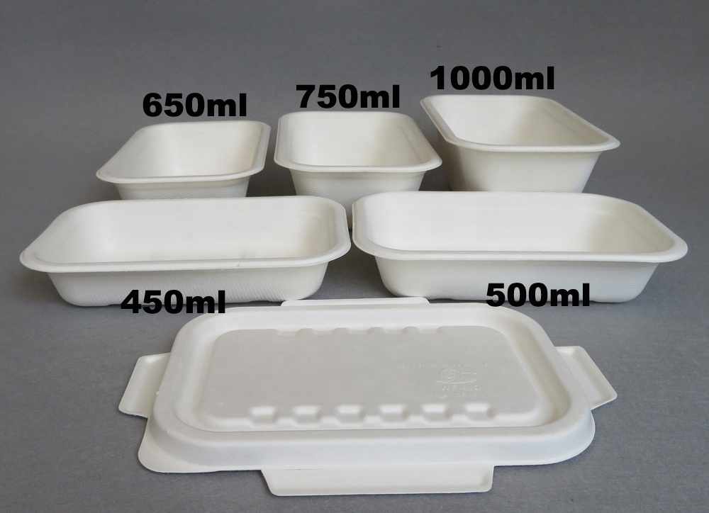 Biodegradable  Disposable Sugarcane  Food Tray with Lid Takeaway Take Out to Go Container Lunch Box