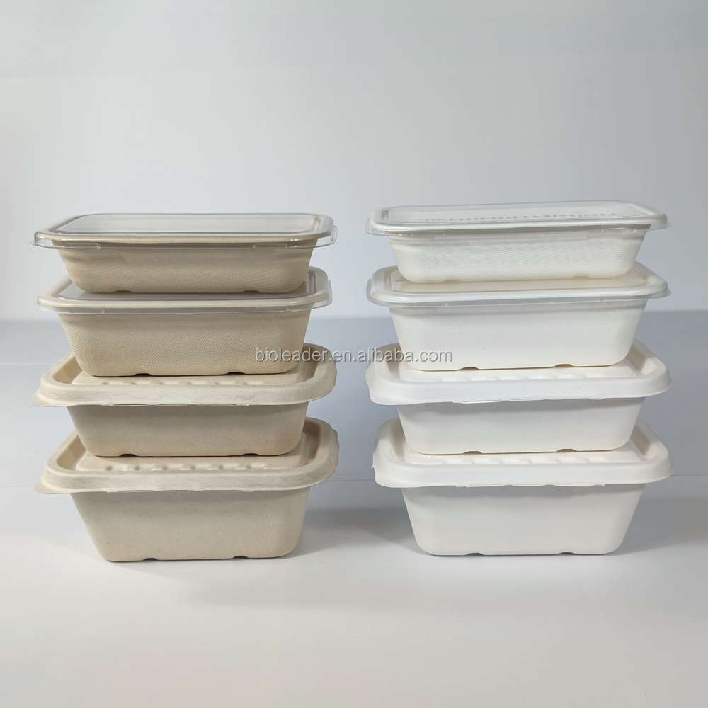 Biodegradable  Disposable Sugarcane  Food Tray with Lid Takeaway Take Out to Go Container Lunch Box