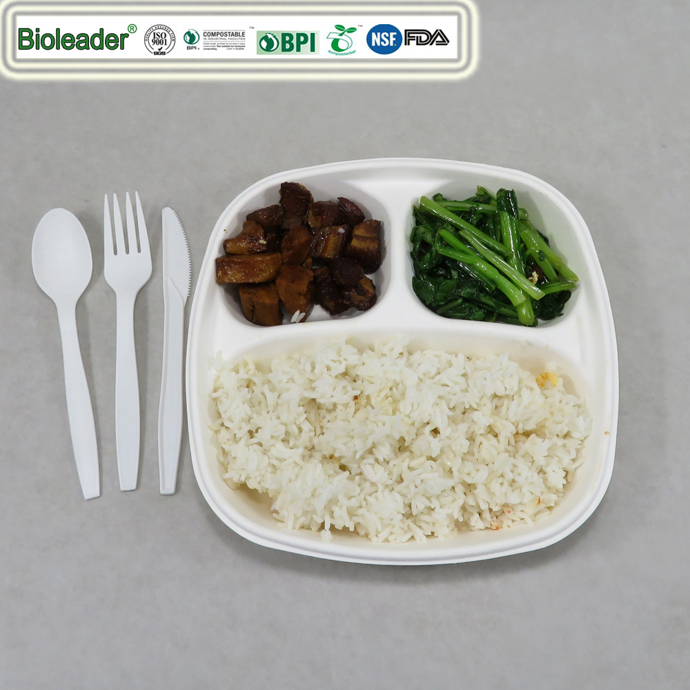 PFAS Free 3 Compartment Tray Biodegradable Disposable Take Out School Sugarcane Bagasse Pulp Tray Plates With PET Lid