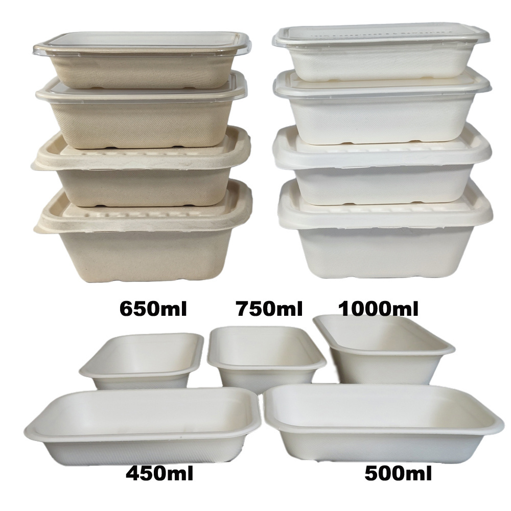 Biodegradable  Disposable Sugarcane  Food Tray with Lid Takeaway Take Out to Go Container Lunch Box