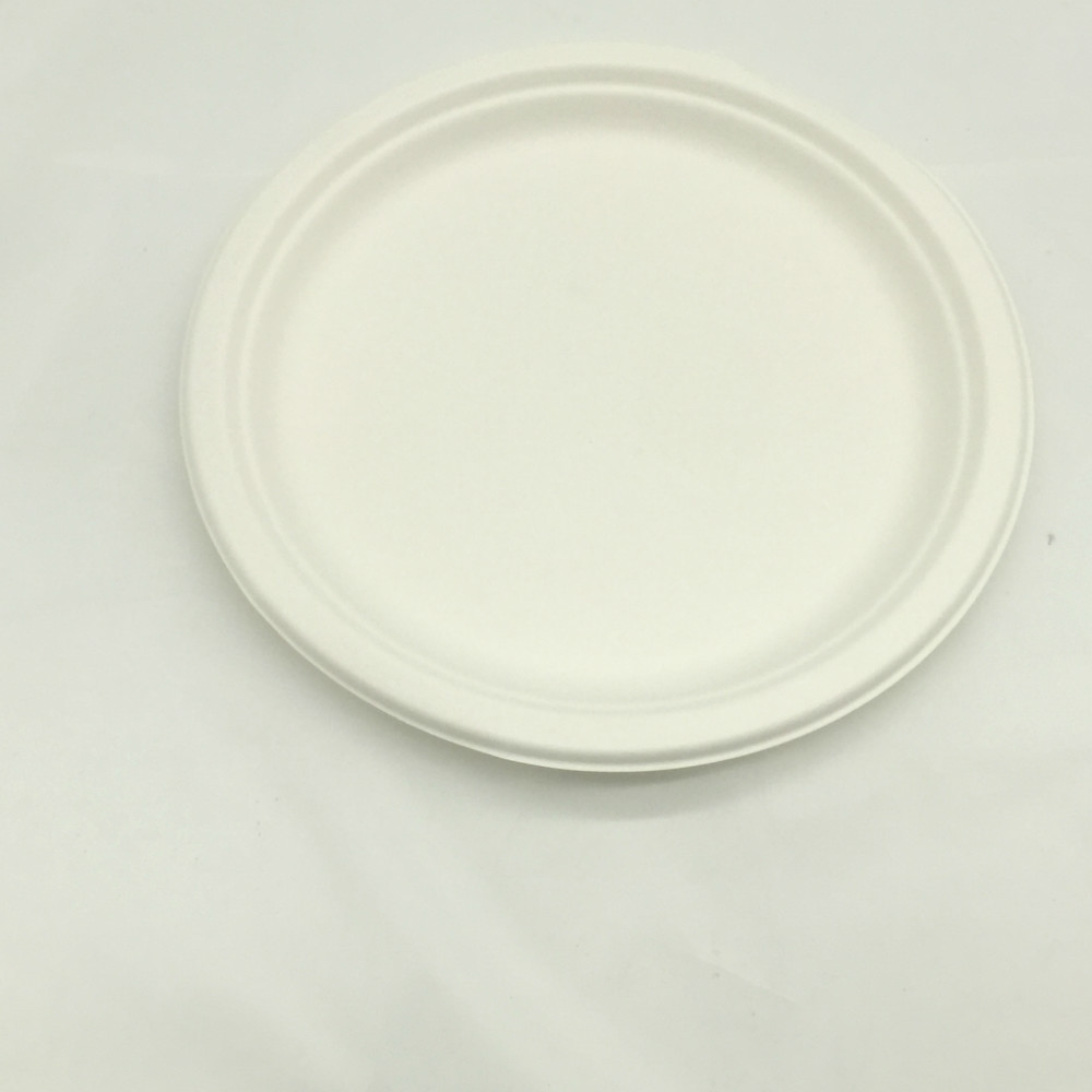 9inch Disposable Sugarcane Paper Plate Dish