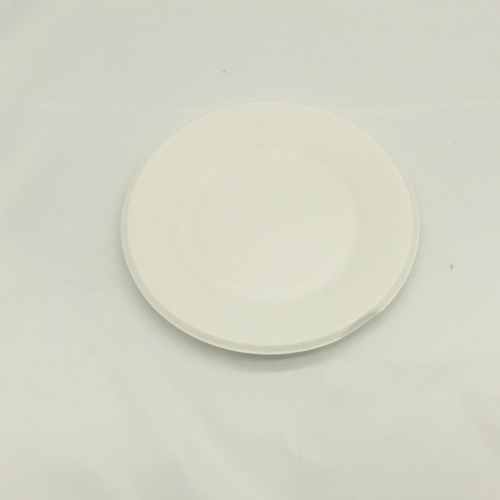 9inch Disposable Sugarcane Paper Plate Dish