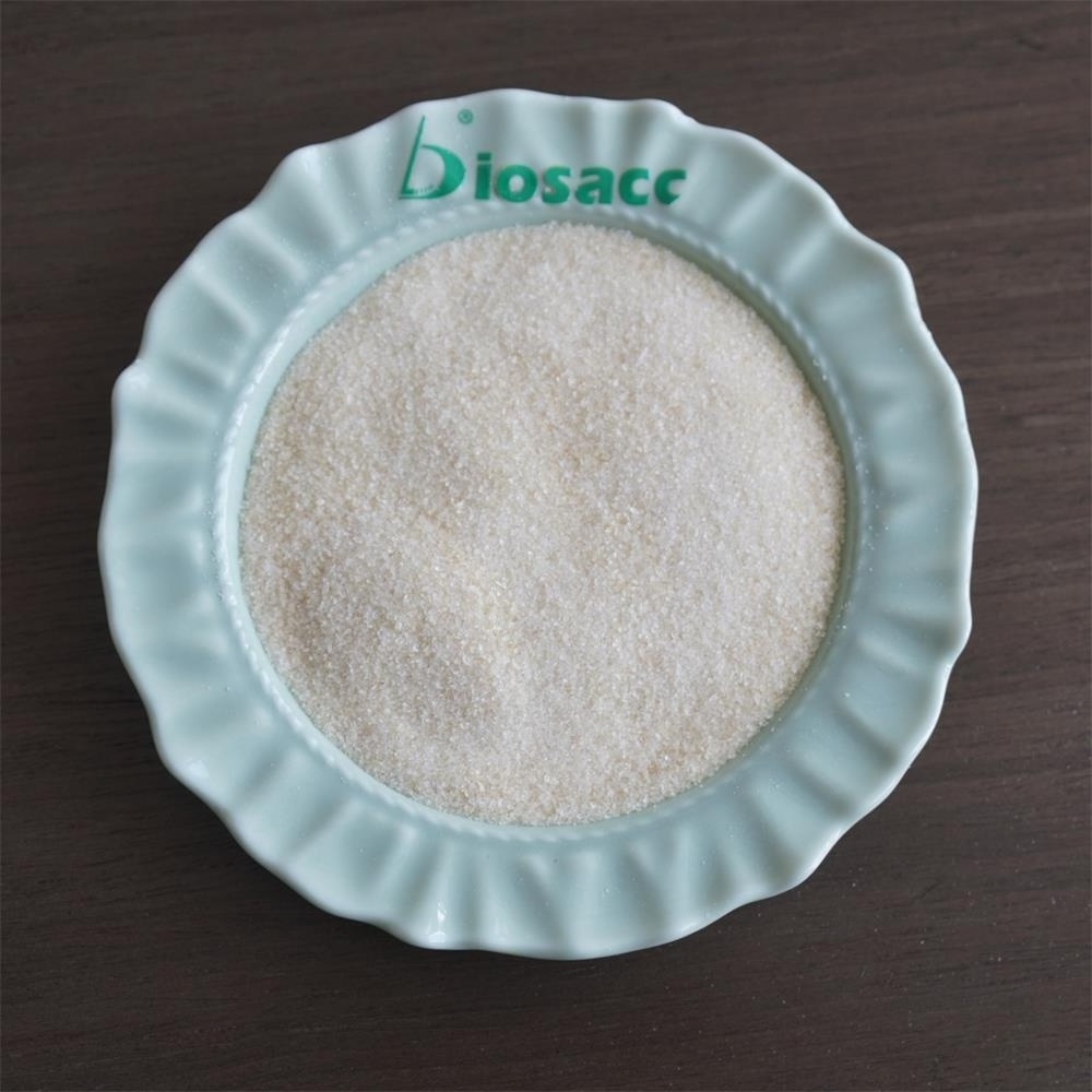 High Quality Gelatin 25kg per bag for sale CAS 9000-70-8 80-300 Bloom as thickener