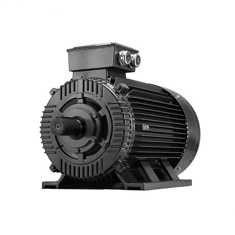 high efficiency IE3 IE4 3 phase 3000rpm 6 pole synchronous motor 185kw/200kw/220kw/250kw electric motor price